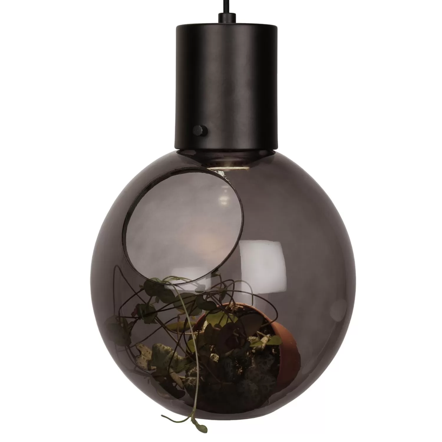 Globen Lighting Pendant Lamps<Mini Hole Pendant/Table