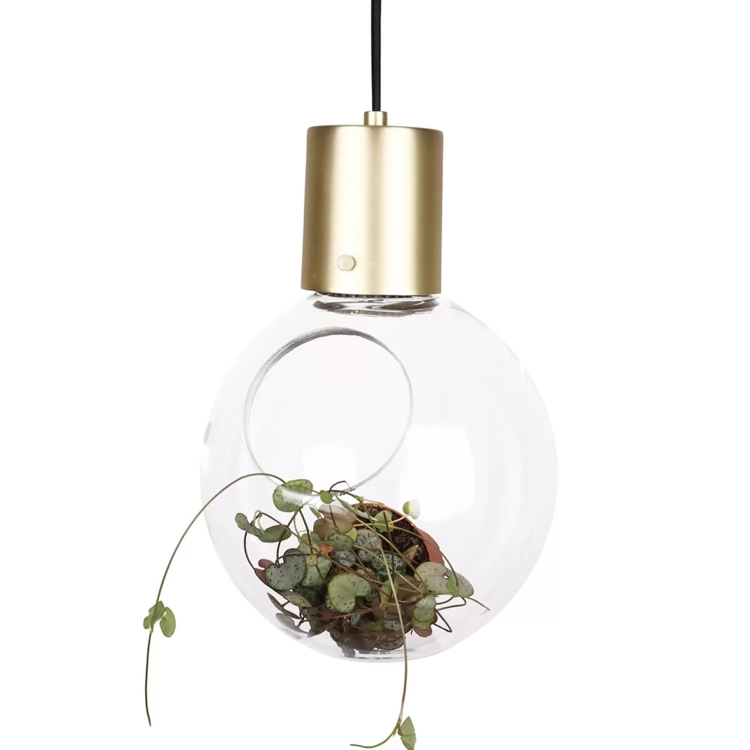 Globen Lighting Pendant Lamps<Mini Hole Pendant/Table