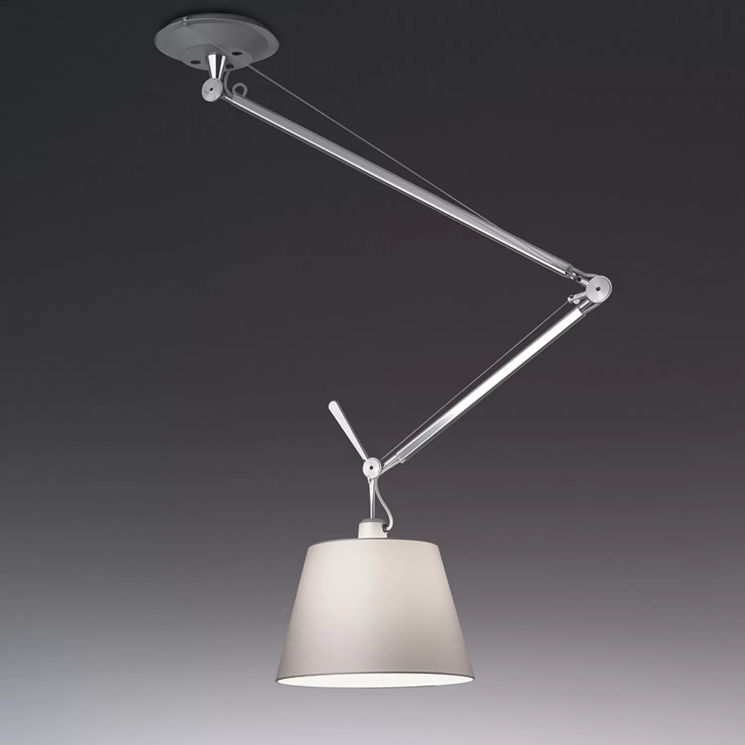 Artemide Ceiling Lamps<Tolomeo Decentralized Ceiling Light, Aluminum